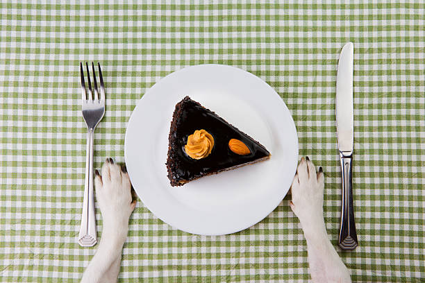 Plate with piece of dog chocolate cake.