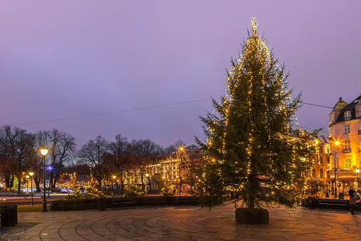 Christmas tree in front of the Norwegian Parliament. View to Spikersuppa and Carl Johan Street.