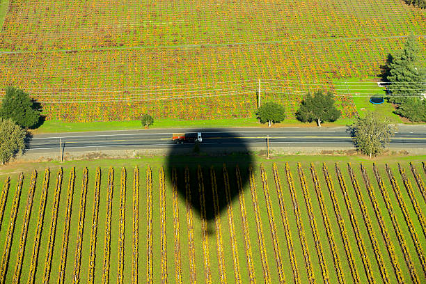 Hot air balloon shadow over the clouds