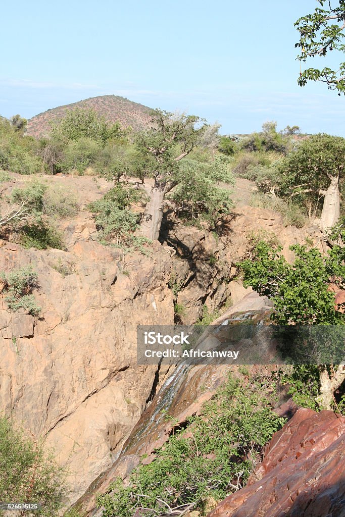 Landscape with Baobab close Epupa Falls, Kunene River, Namibia, Africa It is an adventurous challenge to pass the arid landscape of Northern Namibia by 4x4. Kunene Region is a beautiful scenic area in Namibia and offers a variety of highlights. The Epupa Falls and the Kunene River are well known travel destinations. The Himba people are living in this part of Africa. The trees are green, because it is wet season. The Makalani Palm or Real Fan Palm (Hyphaene petersiana) and the Baobab are part of the scenery. Accidents and Disasters Stock Photo