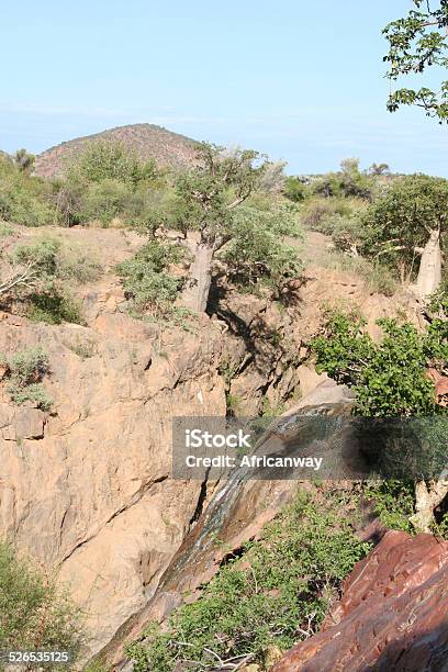 Landscape With Baobab Close Epupa Falls Kunene River Namibia Africa Stock Photo - Download Image Now