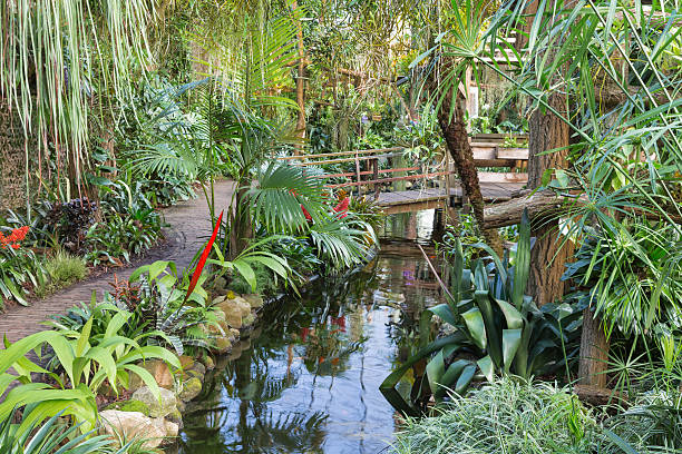 istock Botanical garden with hiking trail and foot bridge 526536015