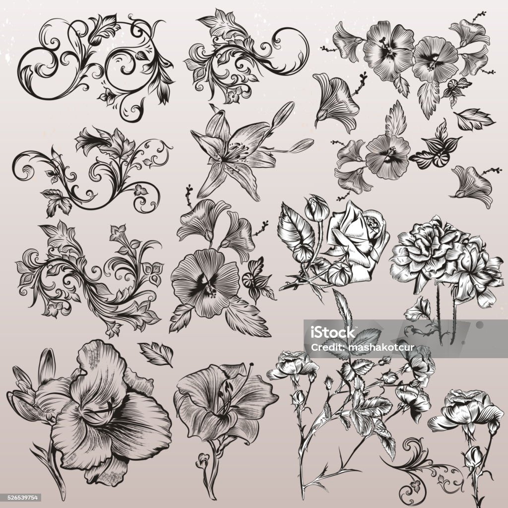 Vector set of calligraphic elements for design. Calligraphic vec A collection or set of hand drawn flourishes and flowers in vintage style Anniversary stock vector