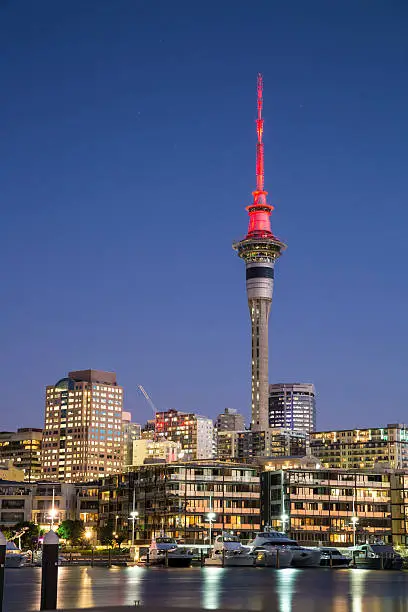 Auckland Skytower at Night / Auckland - New Zealand