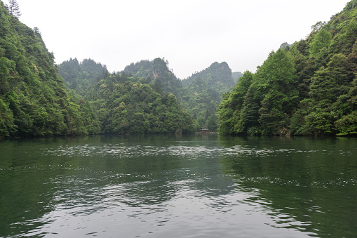 baofeng lake scenery with lush forest surrounding the tall stone peaks. Wulingyuan scenic area, Zhangjiajie, China
