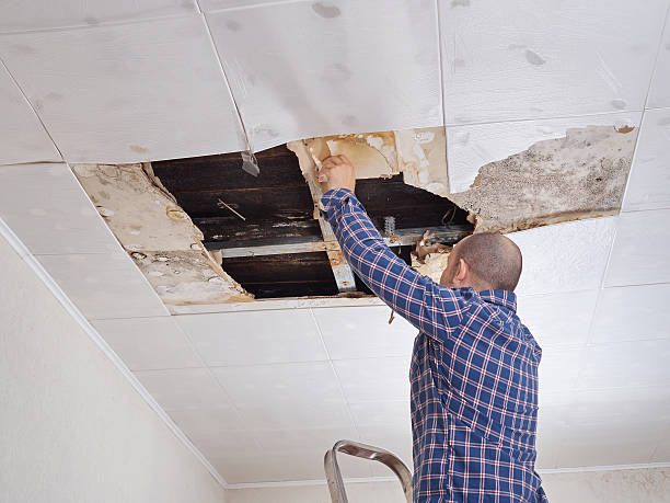 homem de reparação recolhido teto. - plasterboard ceiling plaster molding - fotografias e filmes do acervo