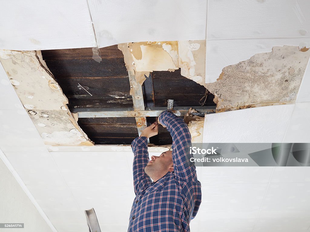 Man repairing collapsed ceiling. Man repairing collapsed ceiling. Ceiling panels damaged  huge hole in roof from rainwater leakage.Water damaged ceiling . Drywall Stock Photo