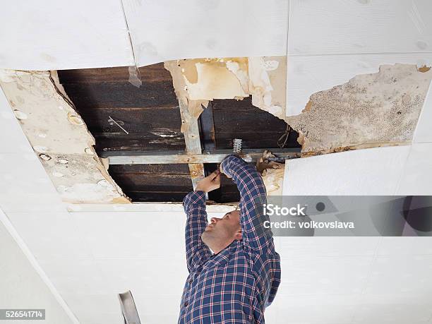 Man Repairing Collapsed Ceiling Stock Photo - Download Image Now - Drywall, Mold - Flintshire, Rusty