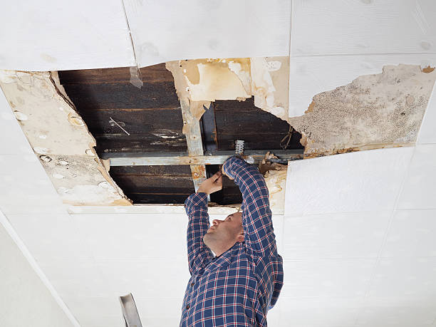 homem de reparação recolhido teto. - plasterboard ceiling plaster molding - fotografias e filmes do acervo