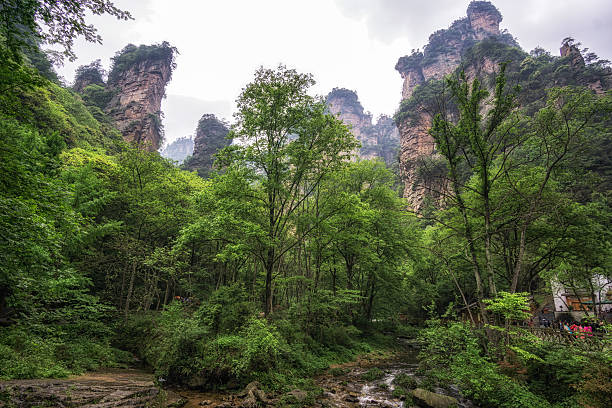 creekside with bridge in yangjiajie creekside view with a small bridge. Yangjiajie scenic area in china. Tall obelisk stone with deep valleys. zhangjiajie photos stock pictures, royalty-free photos & images