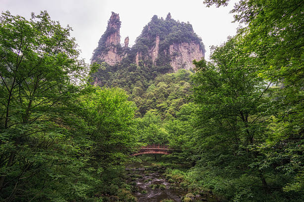 Wulingyuan is a scenic and historical site in the Wulingyuan District of South Central China's Hunan Province. It was inscribed as a UNESCO World Heritage Site in 1992. The park is comprised of dense forests, deep ravines, deep canyons, unusual peaks, caves, and pillar-like rock formations blanketed throughout the park. These pillar rock formations are what the park is renowned for around the world. The pillar rock formations are not typical limestone-eroded pillars. The pillar rock formations are comprised of quartz-sandstone and formed from physical erosion caused by the abundant rains. The landscapes created by the mountains, pillar rock formations, dense forests, and clouds are the epitome of Chinese landscapes that inspire so many different types of artwork.