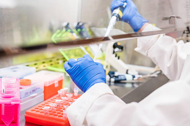 working in the fume hood working in the fume hood fume cupboard stock pictures, royalty-free photos & images