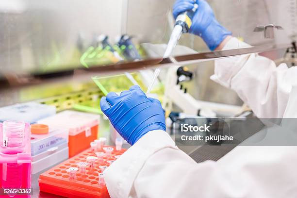 Working In The Fume Hood Stock Photo - Download Image Now - Fume Hood, Laboratory, Cabinet