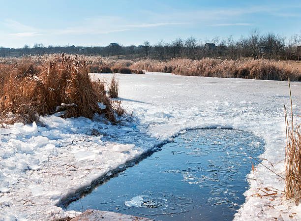 winter ice orificio pasante para nadar en agua fría - frozen cold lake reed fotografías e imágenes de stock