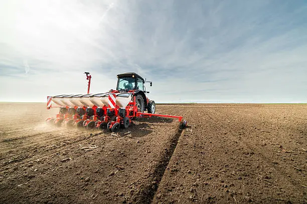 Farmer seeding crops at field