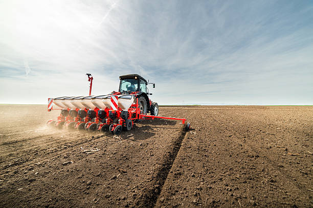 для заинтересования культур на местах - sowing стоковые фото и изображения