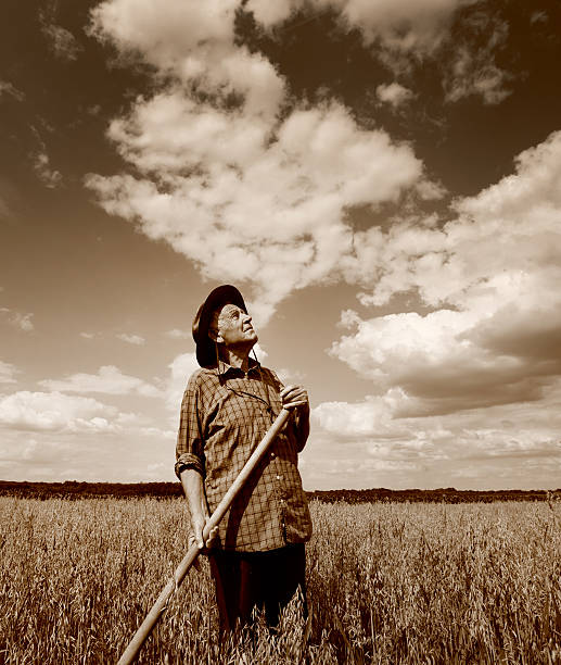 Senior farmer standing in field and looking up in the sky