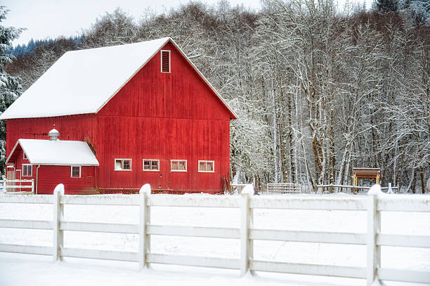Rustic Old Red Barn And OutBuildings Craftsbury Commons, Vermont