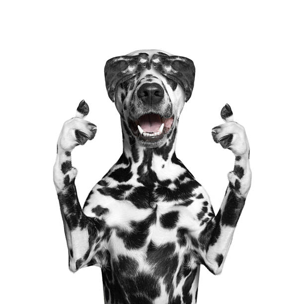 istock dog ears closed her eyes and hid 526548154