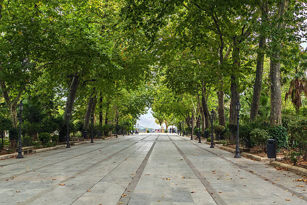 Big alley in the Alameda park, Roda, Spain