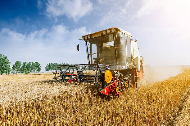 istock Combine harvester harvest ripe wheat on a farm 526549650