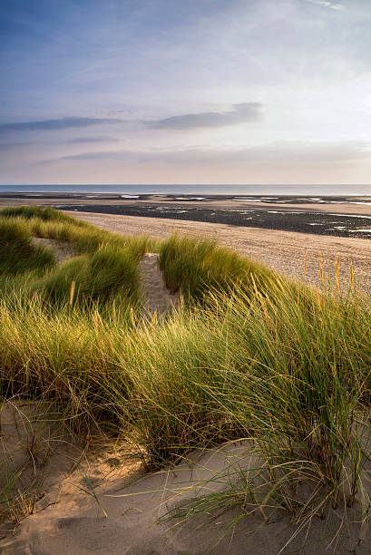 istock Summer evening landscape view over grassy sand dunes on beach 526550549