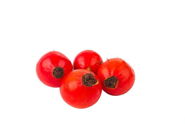 istock fruit of wild rose isolated 526550896