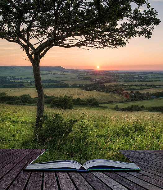 istock Landscape image Summer sunset view over English countryside conc 526551423
