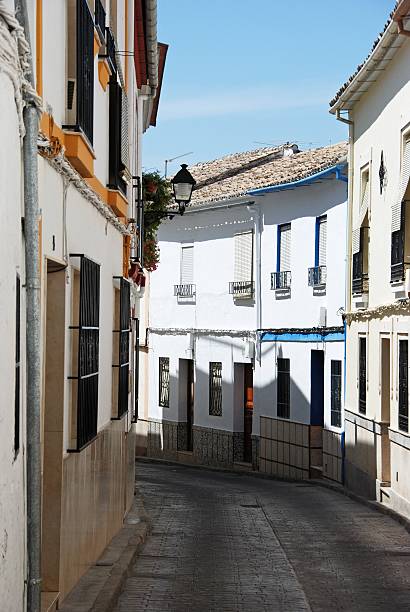 istock Village street, Cabra. 526553836
