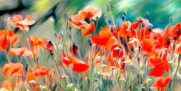 istock watercolor poppies paint 526555068