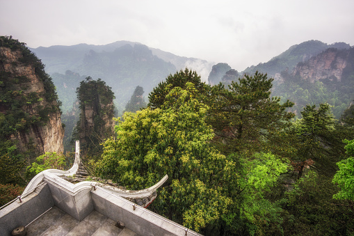 yuanjiajie scenic area in zhangjiajie landscape views. Tall obelisk like rocks with deep valleys.