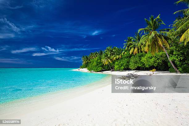 Strand Auf Einer Tropischen Insel Mit Palmen Stockfoto und mehr Bilder von Insel Tahiti - Insel Tahiti, Baum, Blau