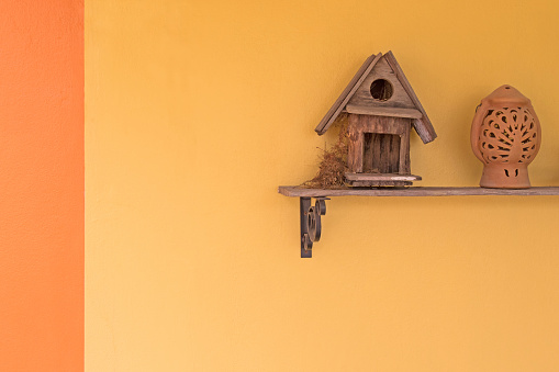 Oriental magpie robin bird build up its nest inside wooden bird house on a shelf against yellow wall
