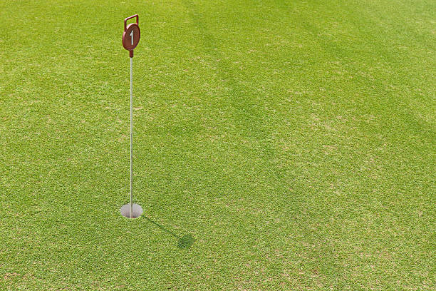 istock Putting cup hold showing number one pin at putting green 526564866