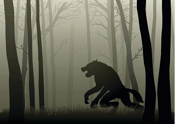 illustrazioni stock, clip art, cartoni animati e icone di tendenza di lupo mannaro in legno scuro - shadow monster fear spooky