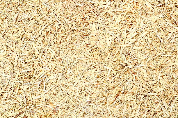 istock Wooden sawdust backgrounds. 526567263