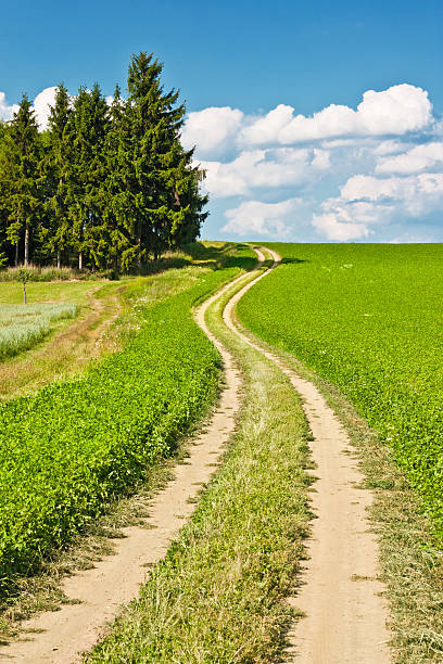 пейзаж и извилистая дорога - clover field blue crop стоковые фото и изображения