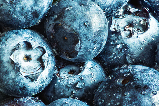 Fresh blueberry, covered with water drops. High detailed macro shot composed from 30 images, taken with Canon 5D mk3.