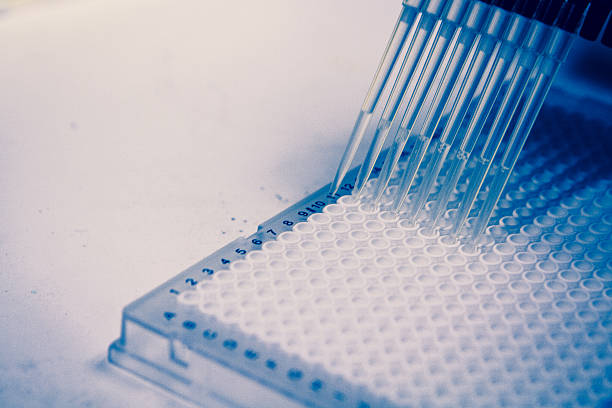 la investigación en células con pipeta multicanal - plate plastic disposable blue fotografías e imágenes de stock
