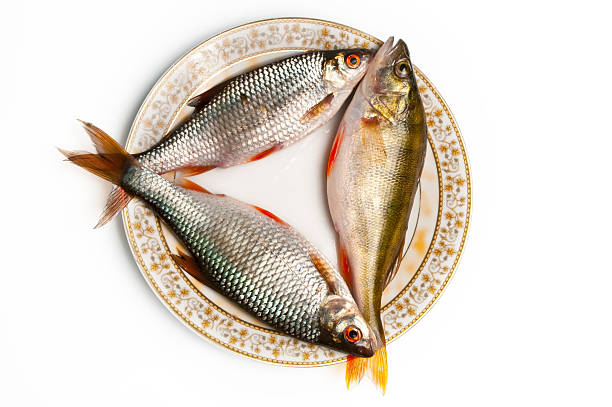 Fresh fish on plate