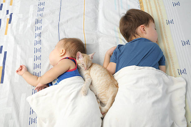istock Children and pet sleeping together 526568653