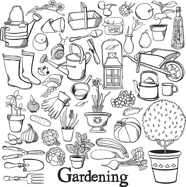 ilustraciones, imágenes clip art, dibujos animados e iconos de stock de icono de jardinería de dibujo conjunto de garabatos - cucumber vegetable plant single flower