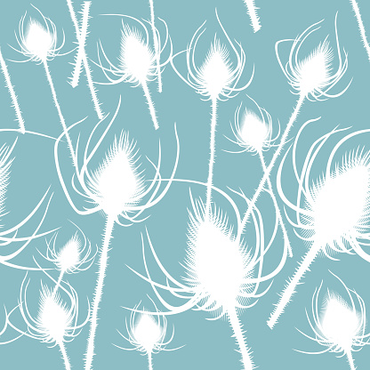 Vector illustration of seamless pattern with Nature Thistles