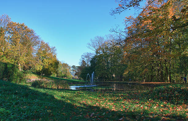 istock Autumn park with small lake 526569923