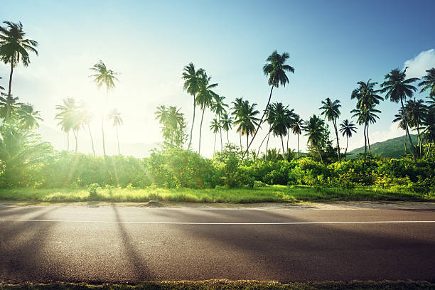 istock empty road in jungle of Seychelles islands 526570142