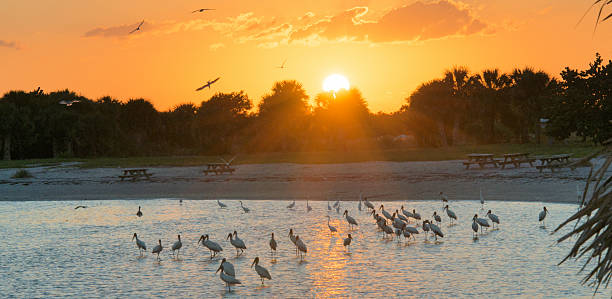 istock Sebastian Inlet Recreation Area Sunset 526570295