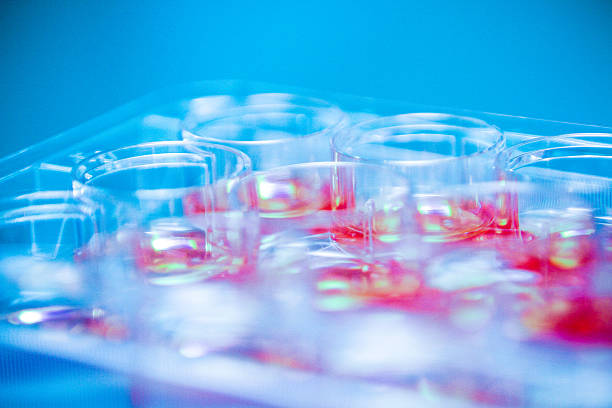 istock DNA and Stem Cell Scientific Research 526570557
