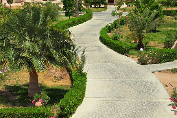 istock road in tropical garden 526572905