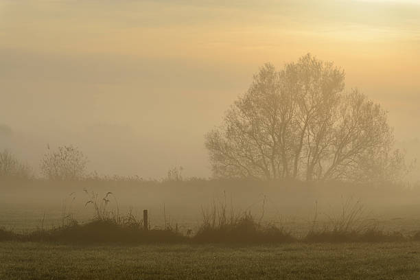 istock Sunlight over a foggy meadow 526572965