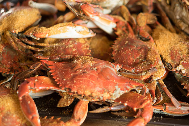 a vapor caranguejos! - maryland blue crab imagens e fotografias de stock